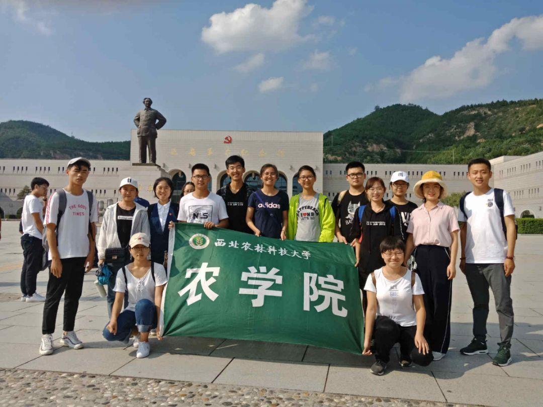 救援可爱小学生